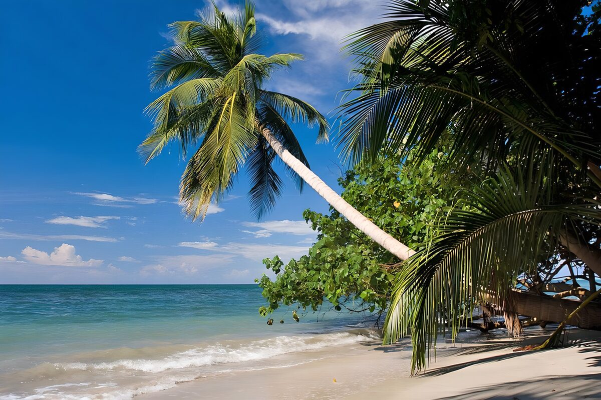 Tranquil Tropical Beach Scene