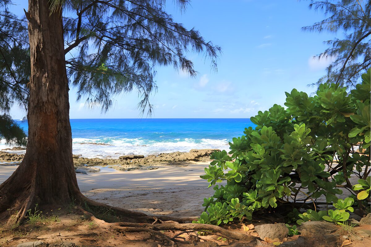 OCCOM7095288: Serene Coastal Paradise