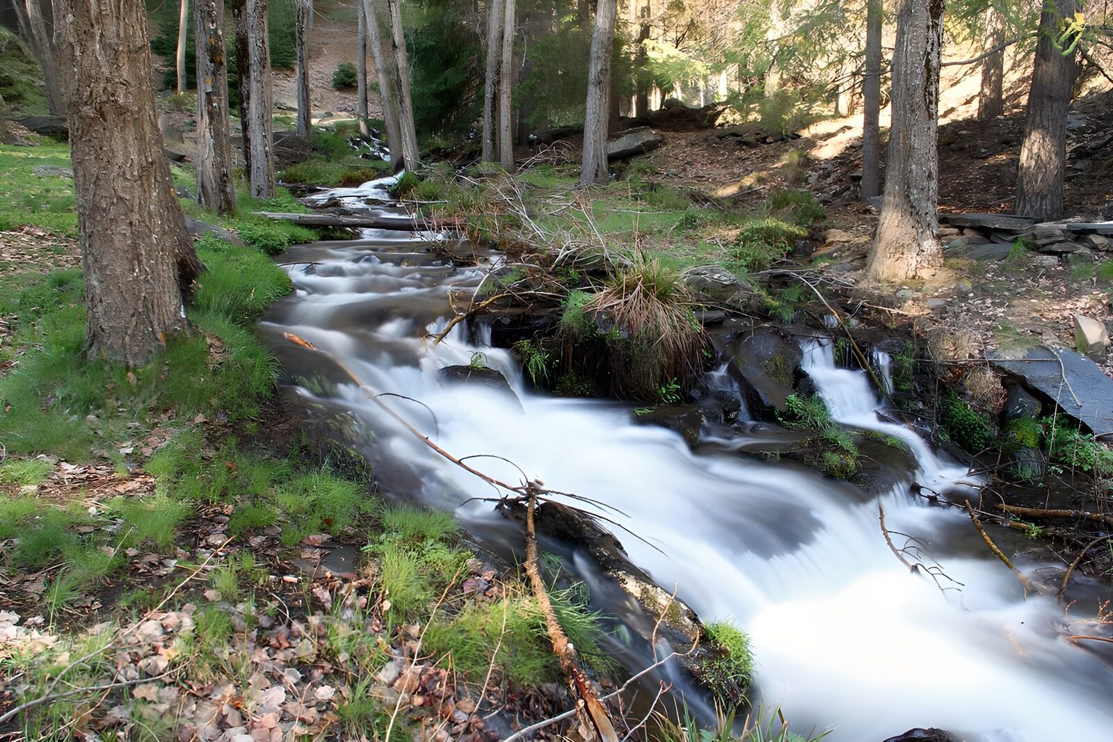 OCCOM6503284: Serene Mountain Stream