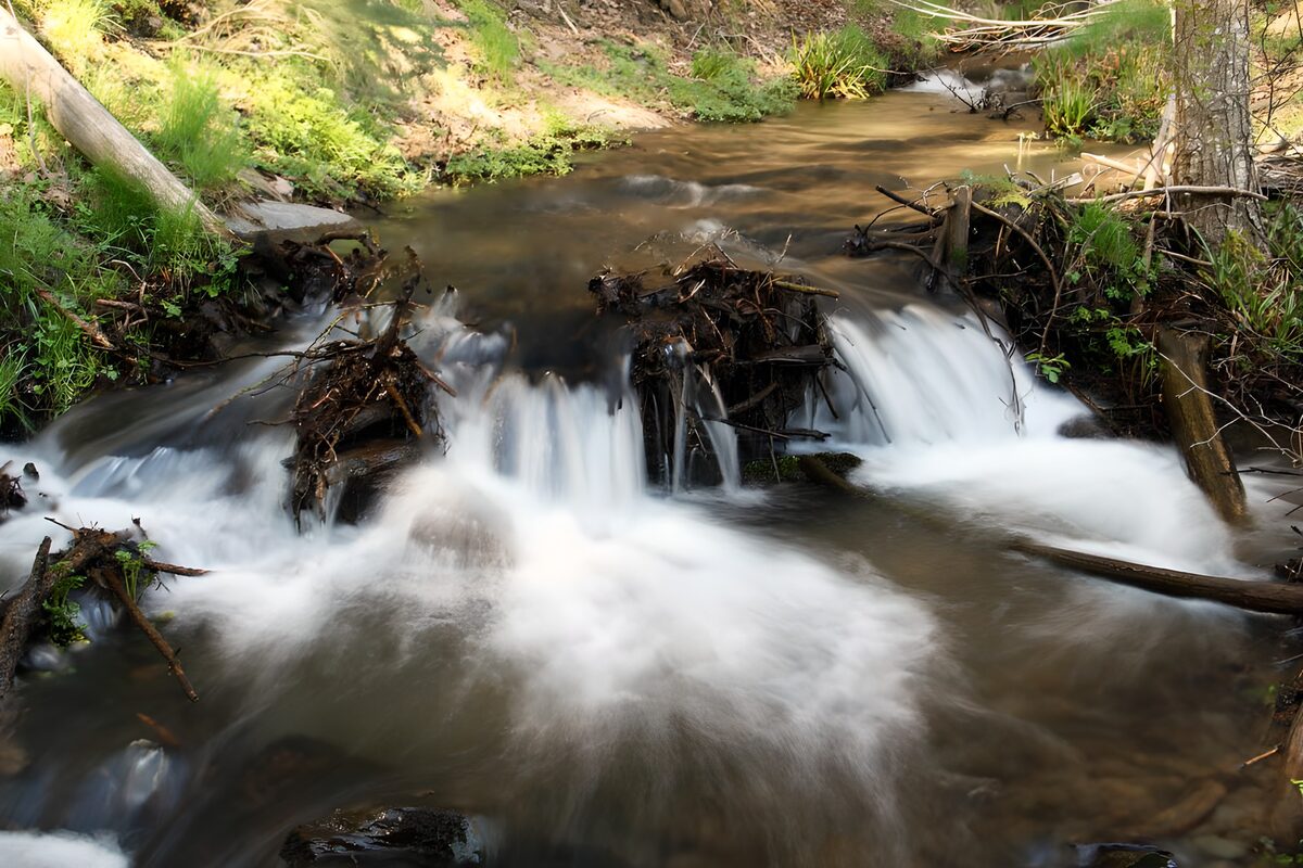 OCCOM3103497: Tranquil Stream with Gentle Flow