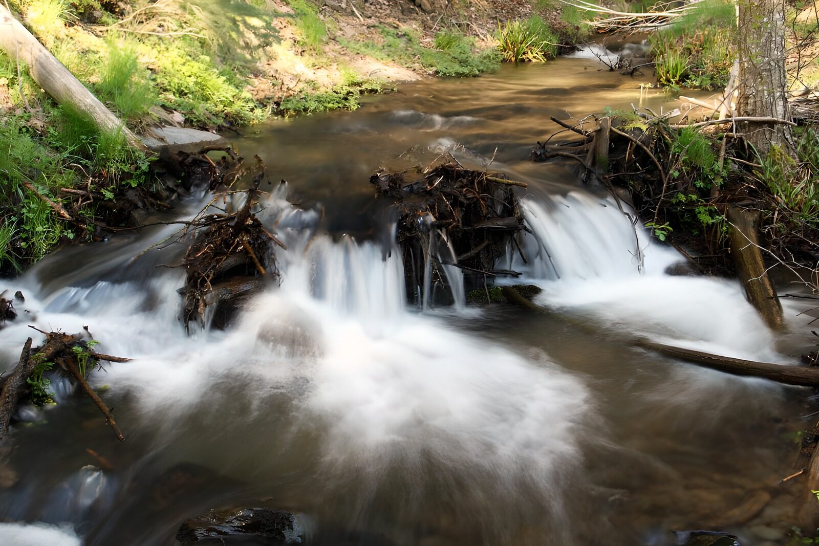 OCCOM3103497: Tranquil Stream with Gentle Flow