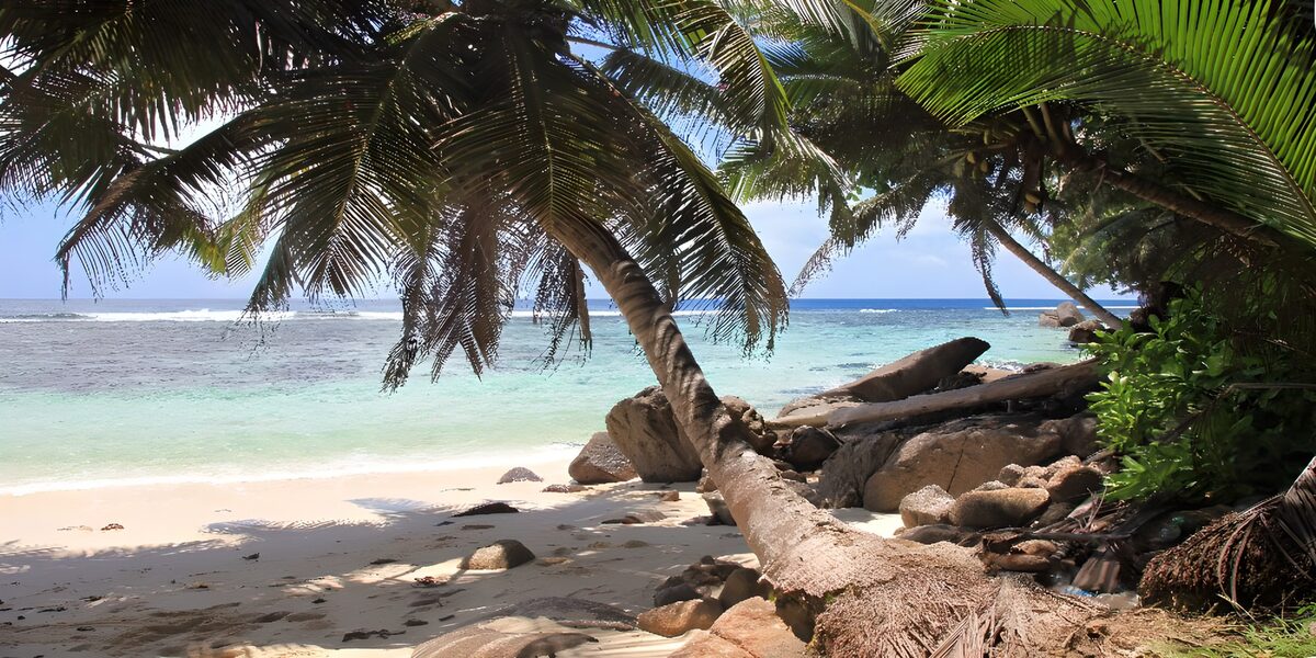 OCCOM7623534: Tropical Paradise Beach Scene
