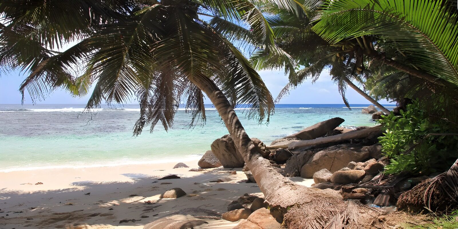 OCCOM7623534: Tropical Paradise Beach Scene
