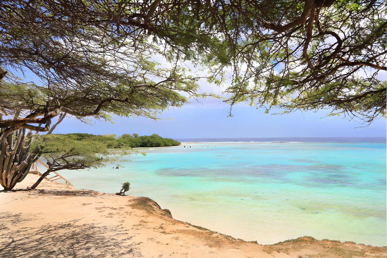 OCCOM8789290: Tranquil Tropical Shoreline