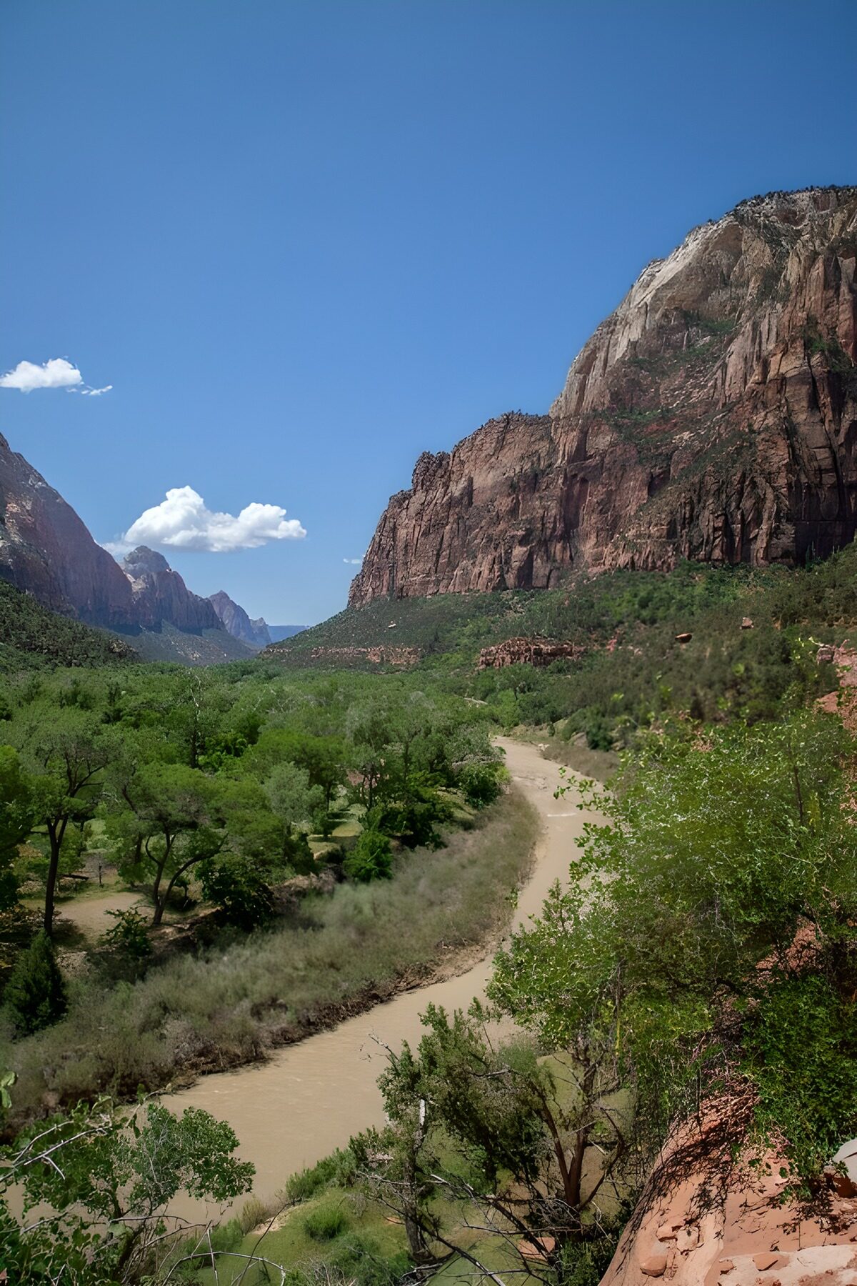 Serene View of Zion Canyon
