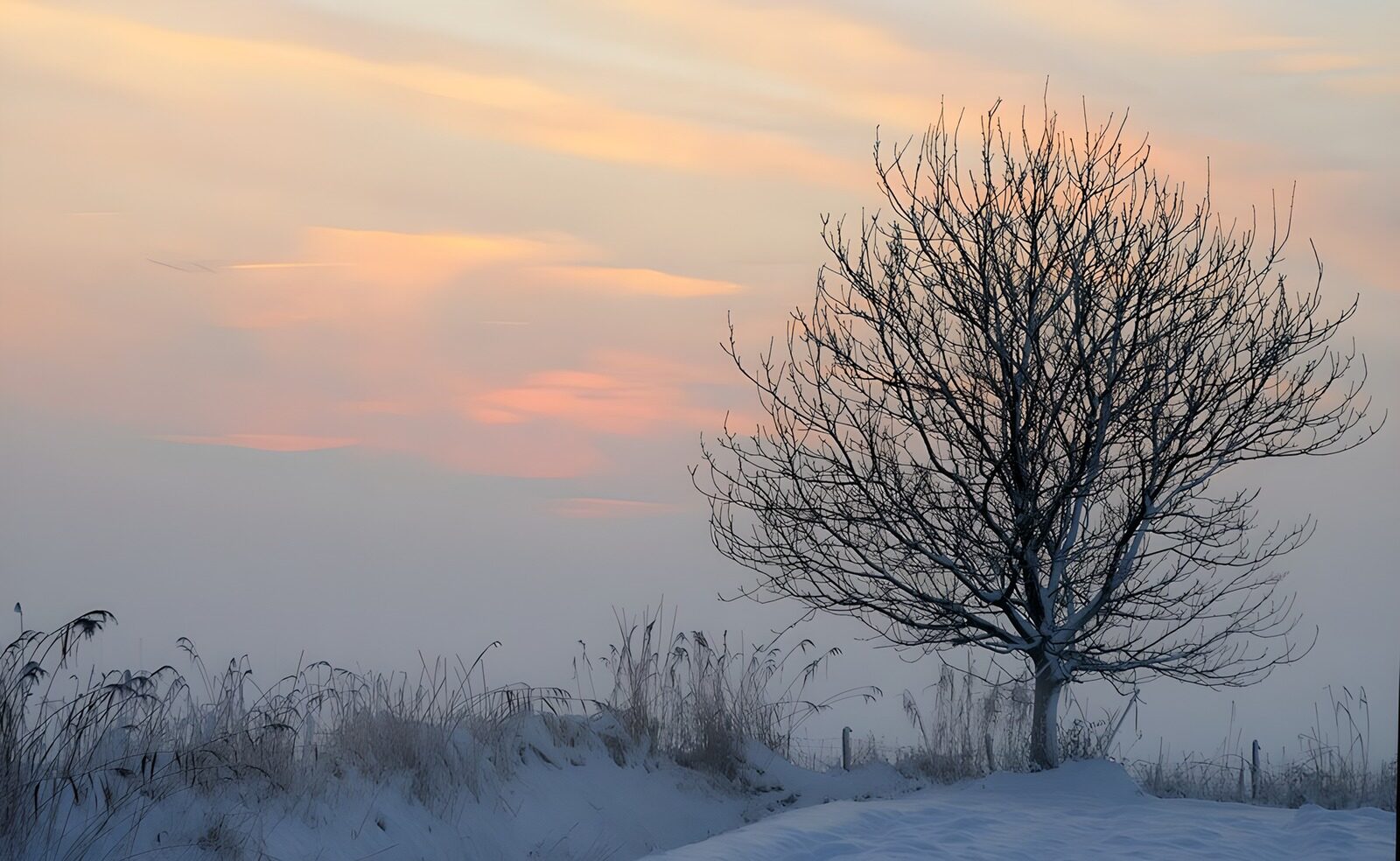 OCCOM8422847: Winter Tranquility at Sunset