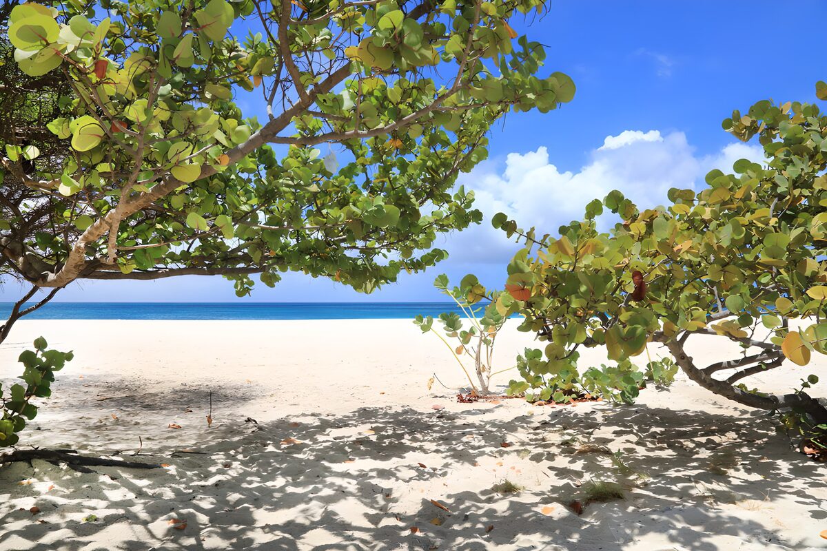 OCCOM7967292: Tranquil Beach Escape