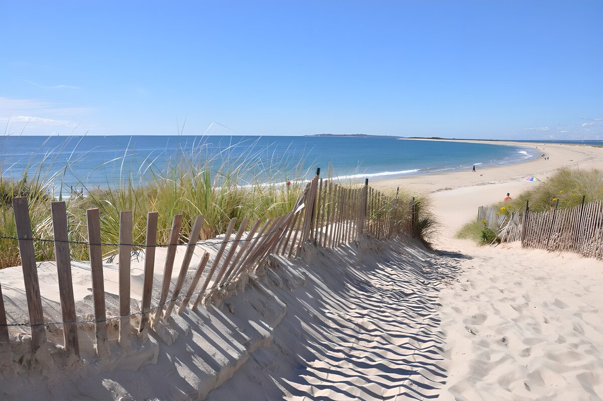 OCCOM8283535: Tranquil Beach Pathway