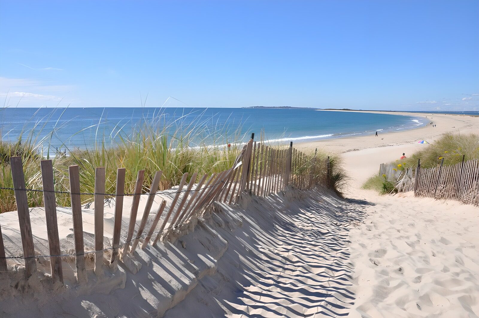 OCCOM8283535: Tranquil Beach Pathway