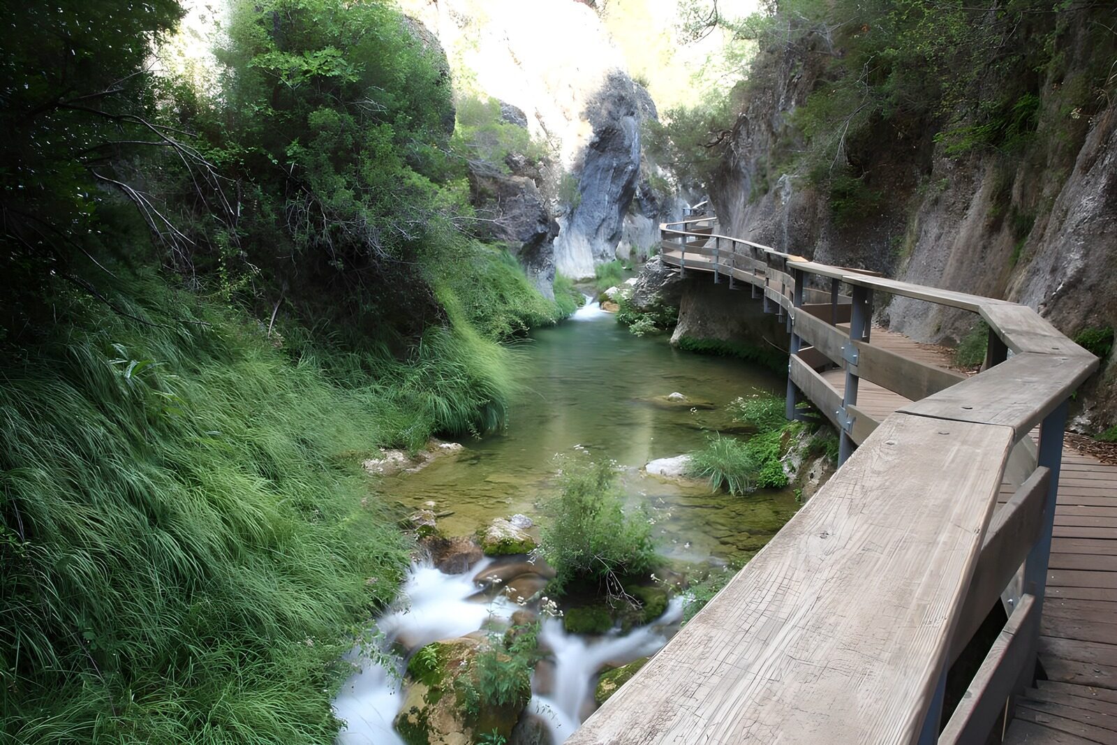 OCCOM6277920: Serene Stream Through a Lush Canyon