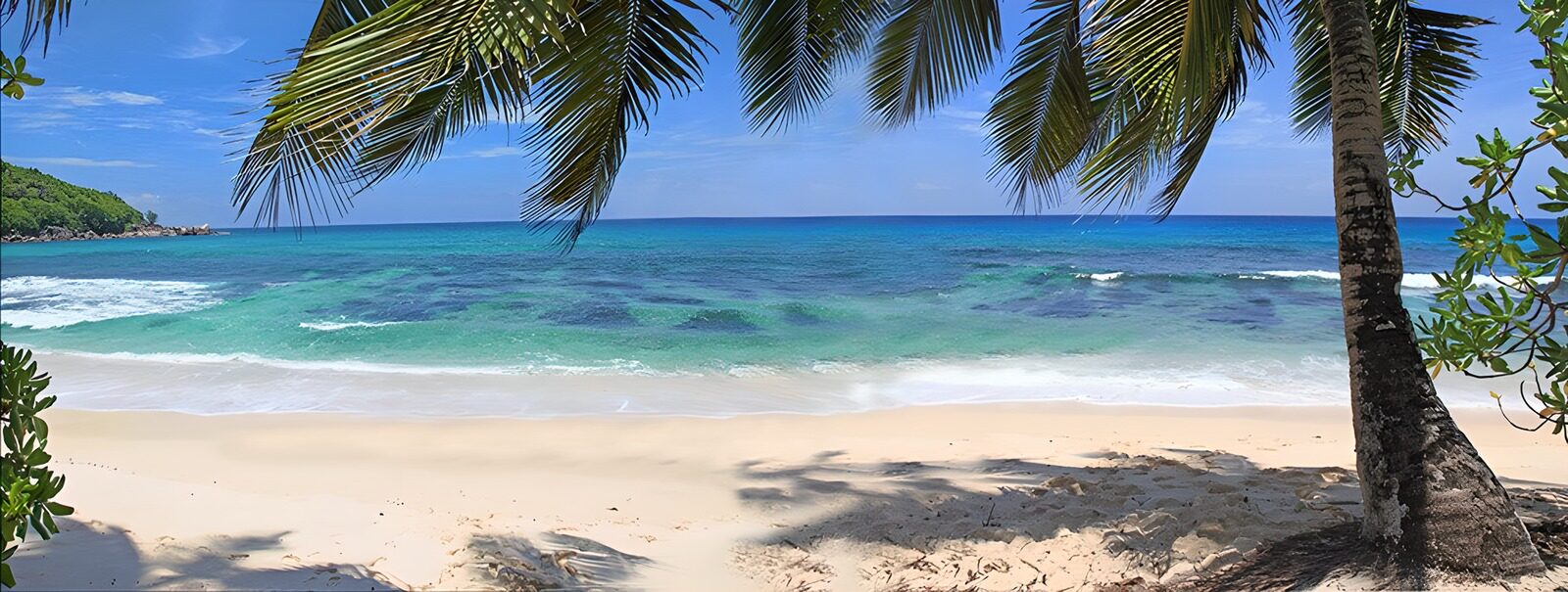 OCCOM3437550: Tropical Paradise by the Shore