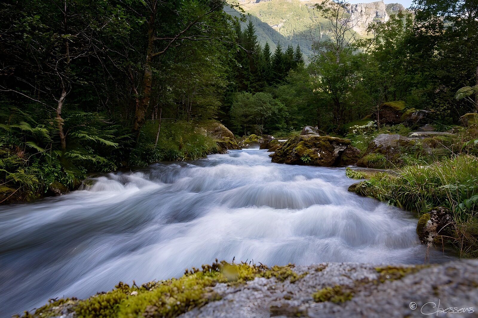 OCCOM5053127: Serene Mountain Stream