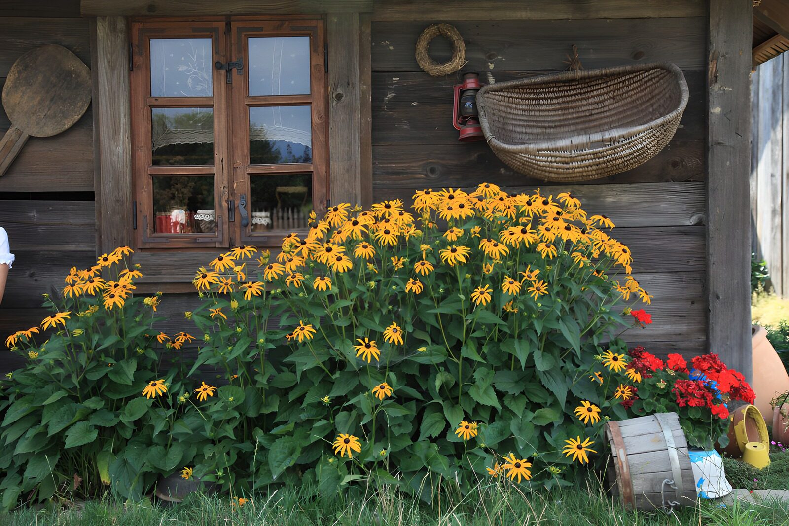 OCCOM1668864: Charming Rustic Cottage with Flowers