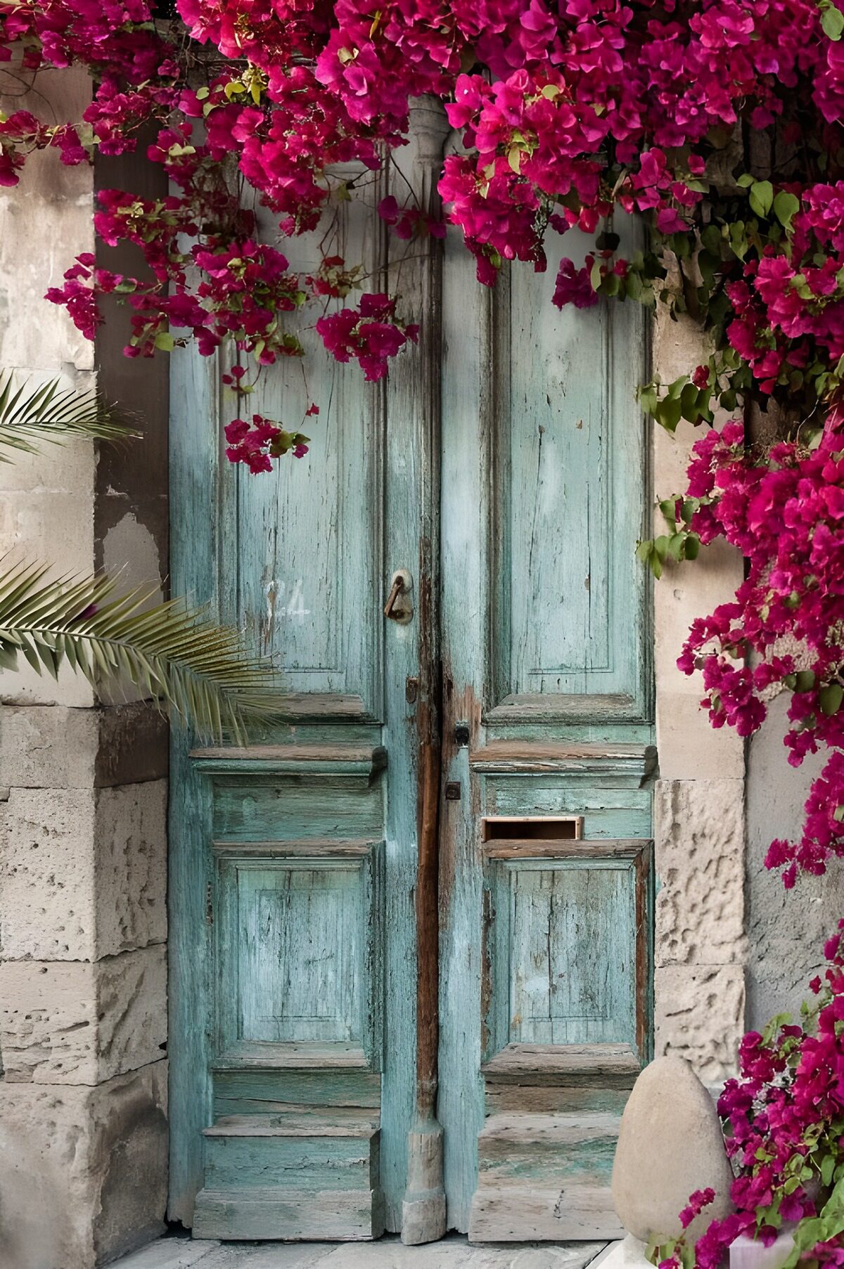 Charming Rustic Door with Bougainvillea