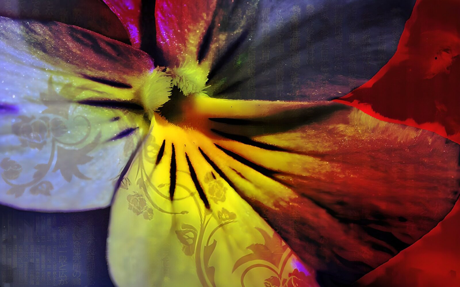 OCCOM2123038: Colorful Floral Abstract Melody