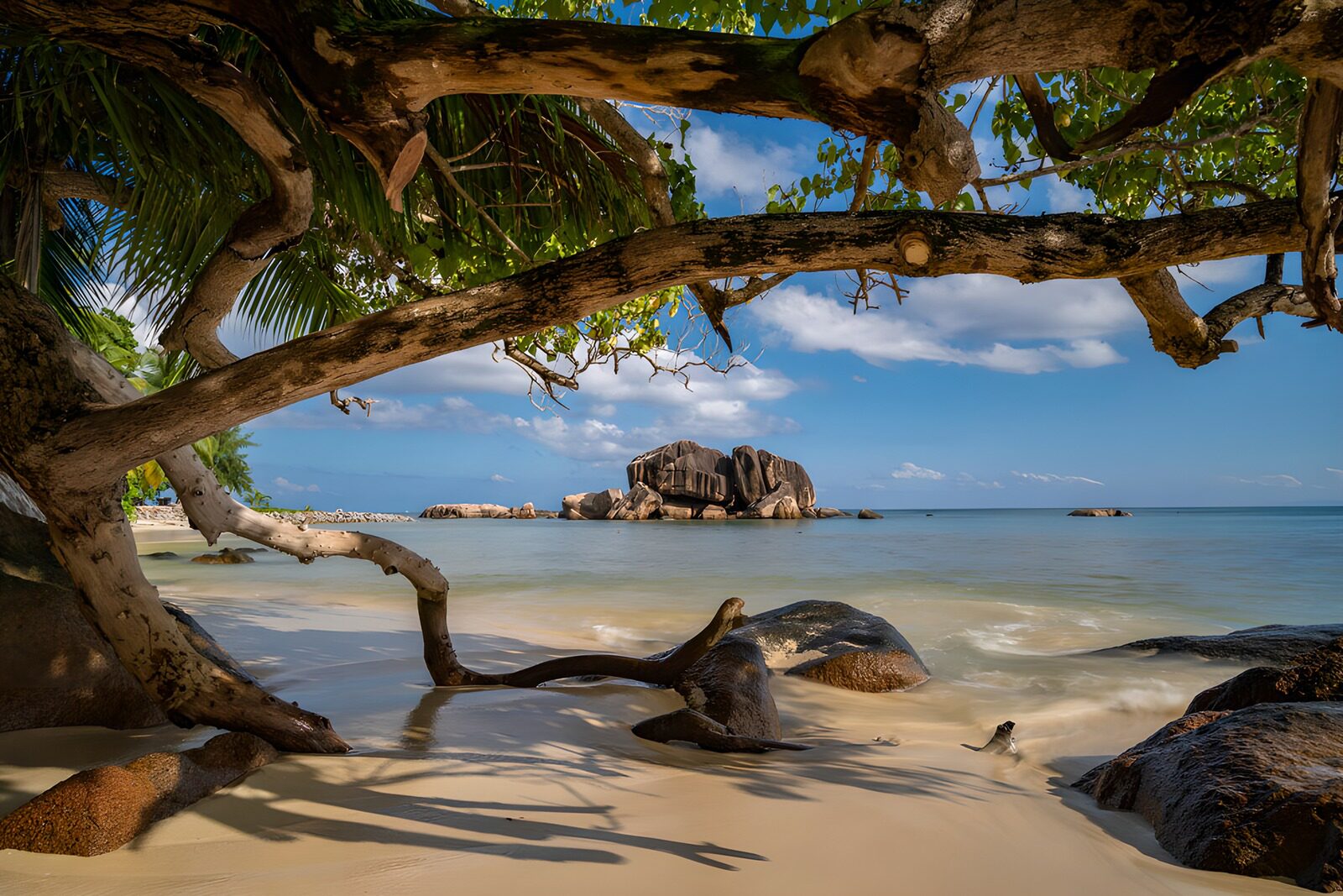 OCCOM1851043: Secluded Tropical Paradise