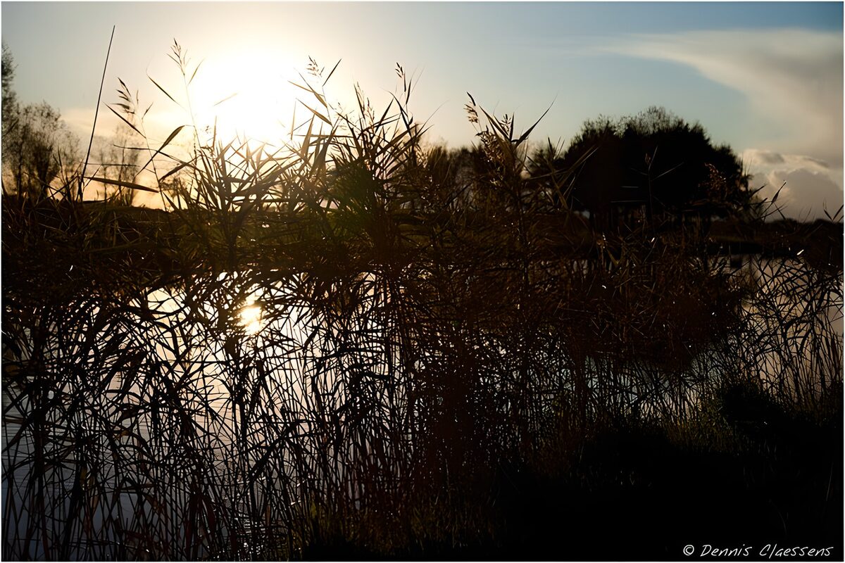 Sunset Reflections Over the Water