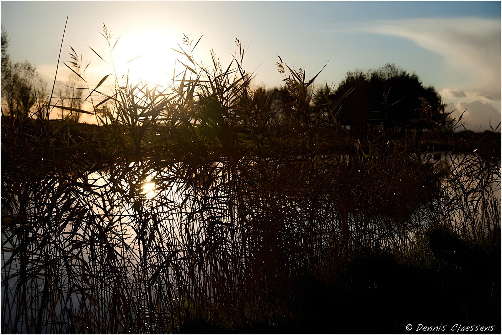 OCCOM3126070: Sunset Reflections Over the Water