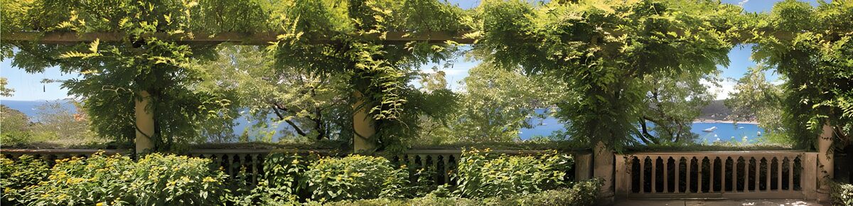 OCCOM9015198: Serene Coastal Garden View