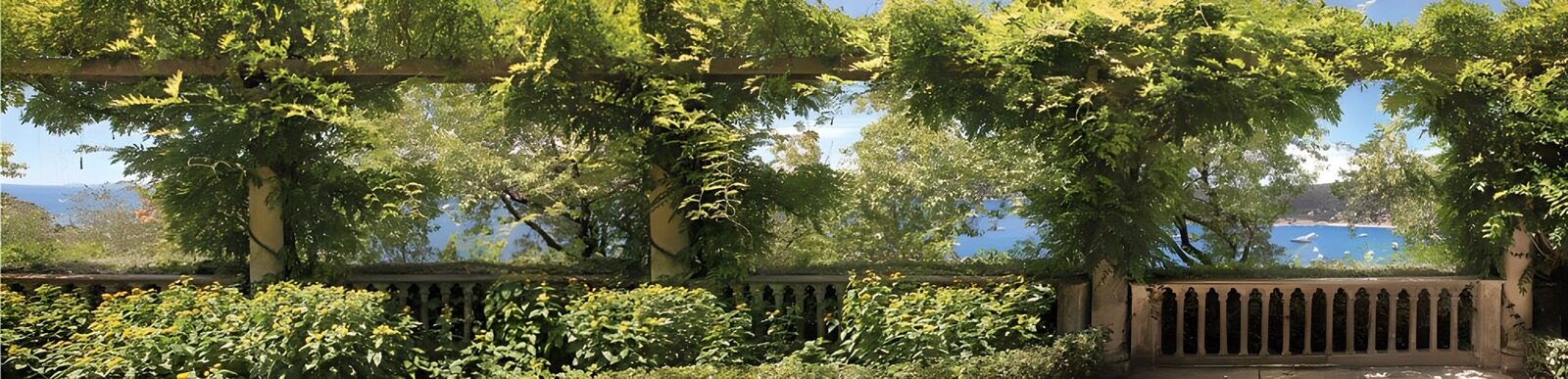 OCCOM9015198: Serene Coastal Garden View
