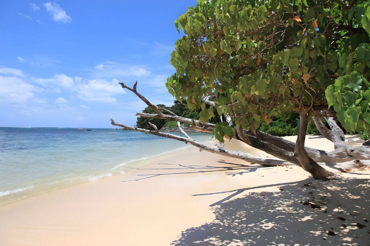OCCOM9593635: Serene Beachfront Oasis