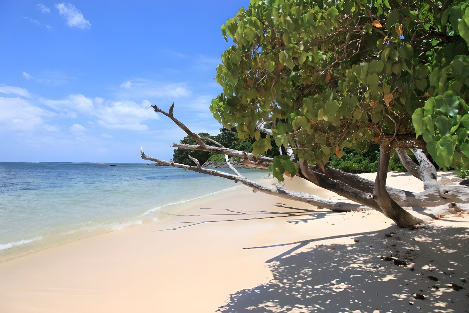 OCCOM9593635: Serene Beachfront Oasis