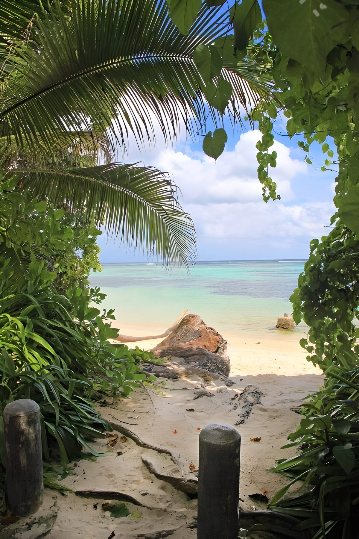 OCCOM1261726: Tropical Beach Entrance