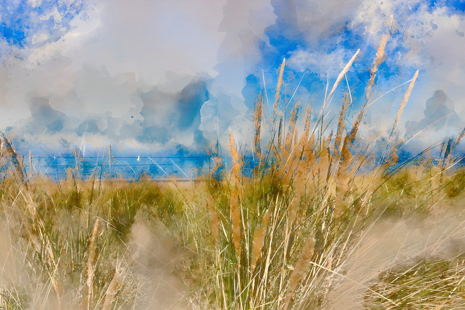 OCCOM4136883: Serene Coastal Panorama