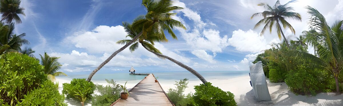 OCCOM6100839: Tropical Paradise Walkway