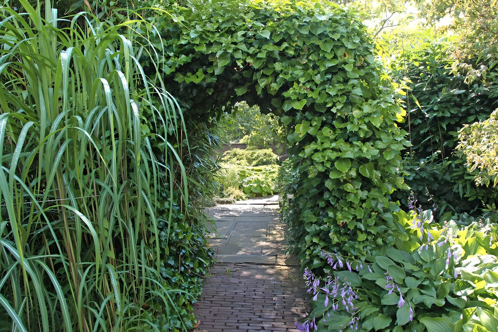 OCCOM1468741: Enchanted Garden Pathway