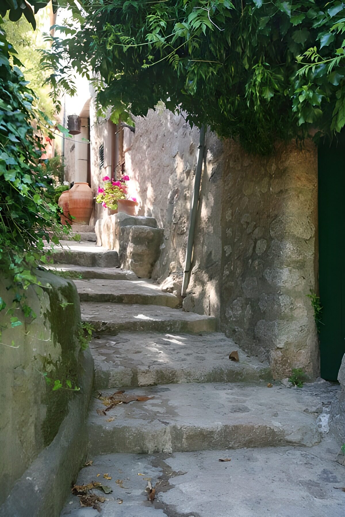 : Serene Stone Pathway