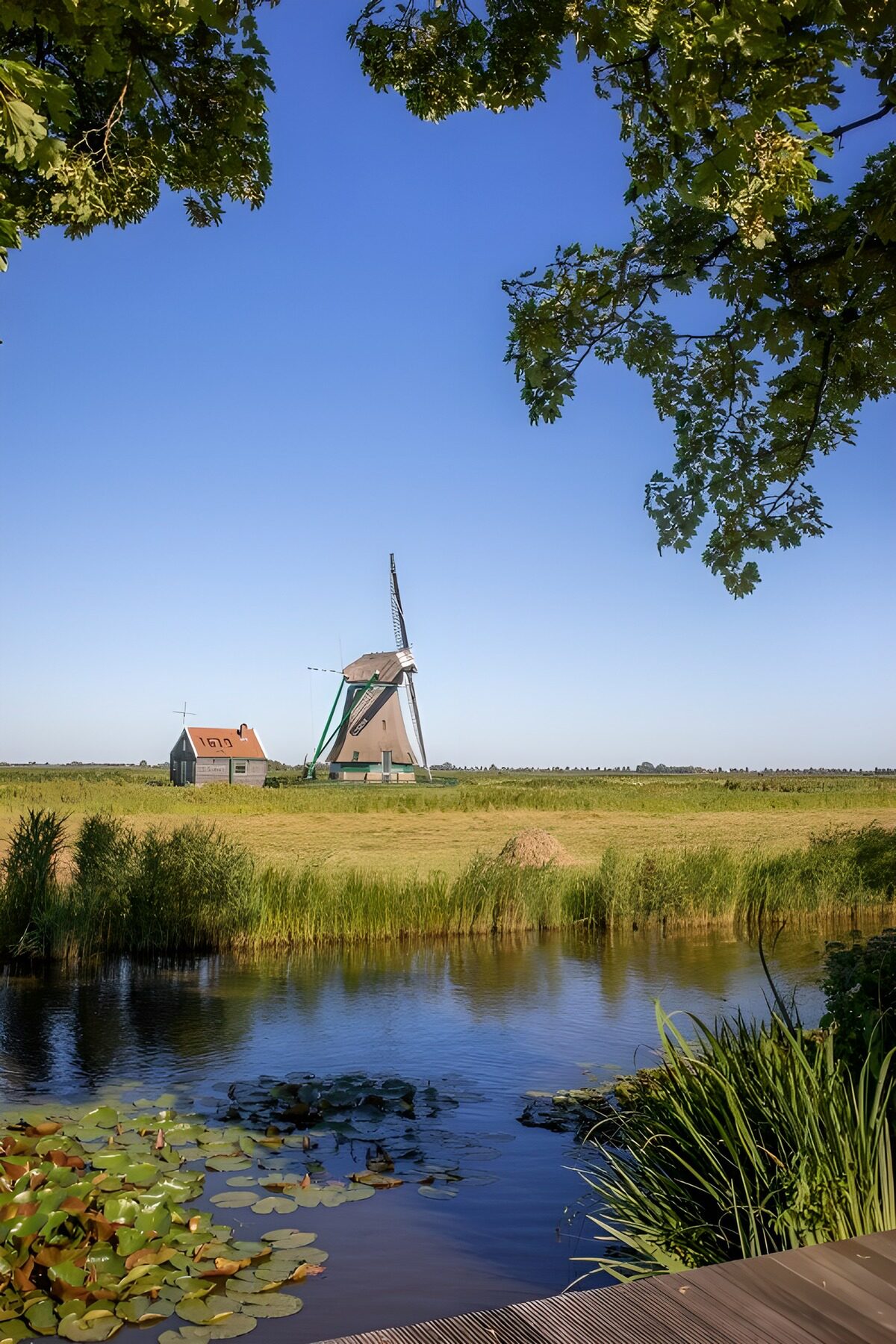 Dutch Windmill in Tranquil Landscape
