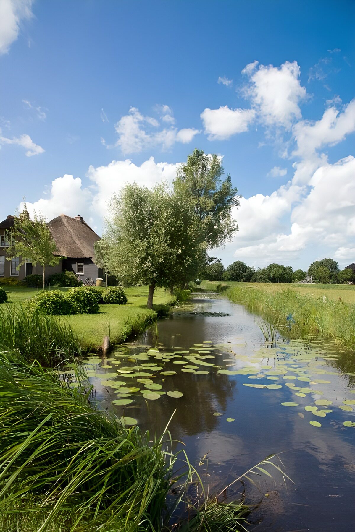 Serene Countryside Escape