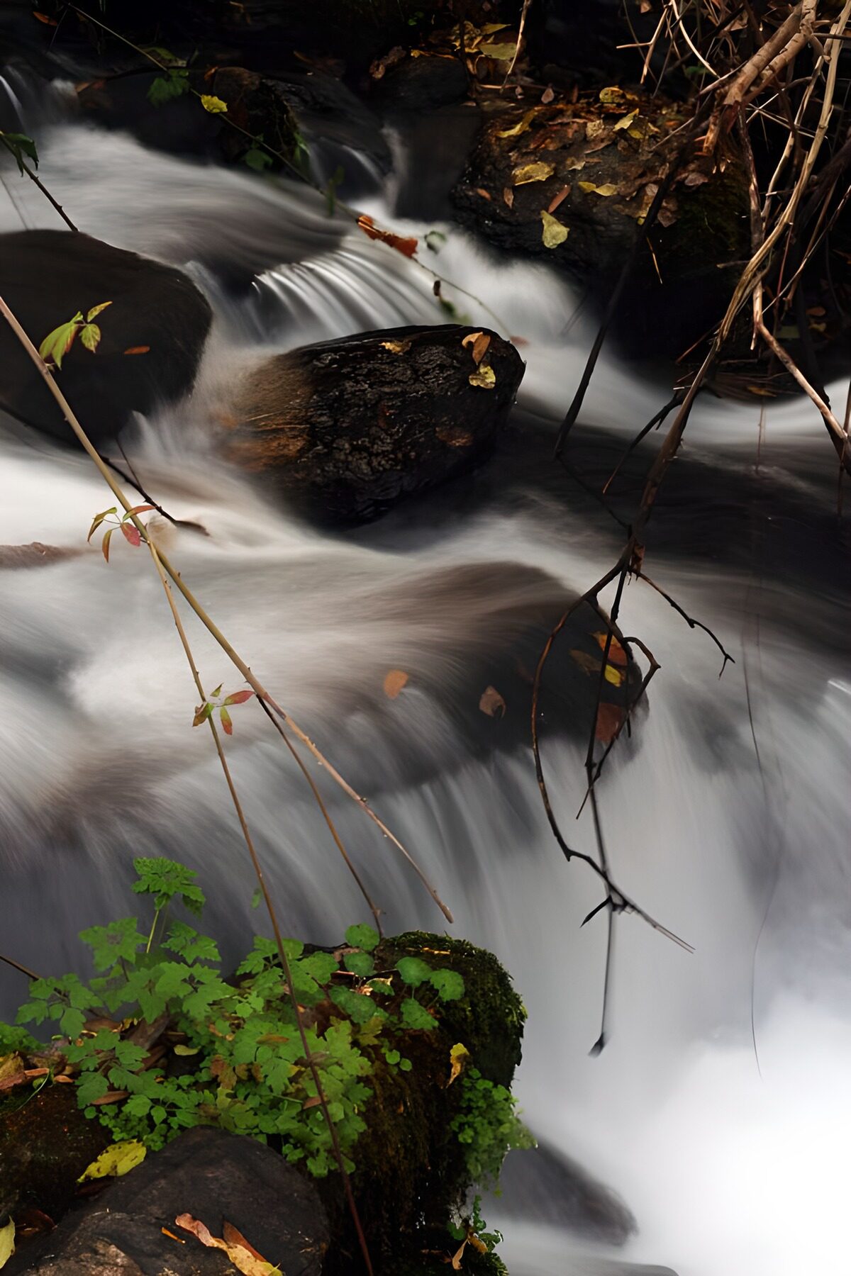 Serene Stream Flowing Through Rocks