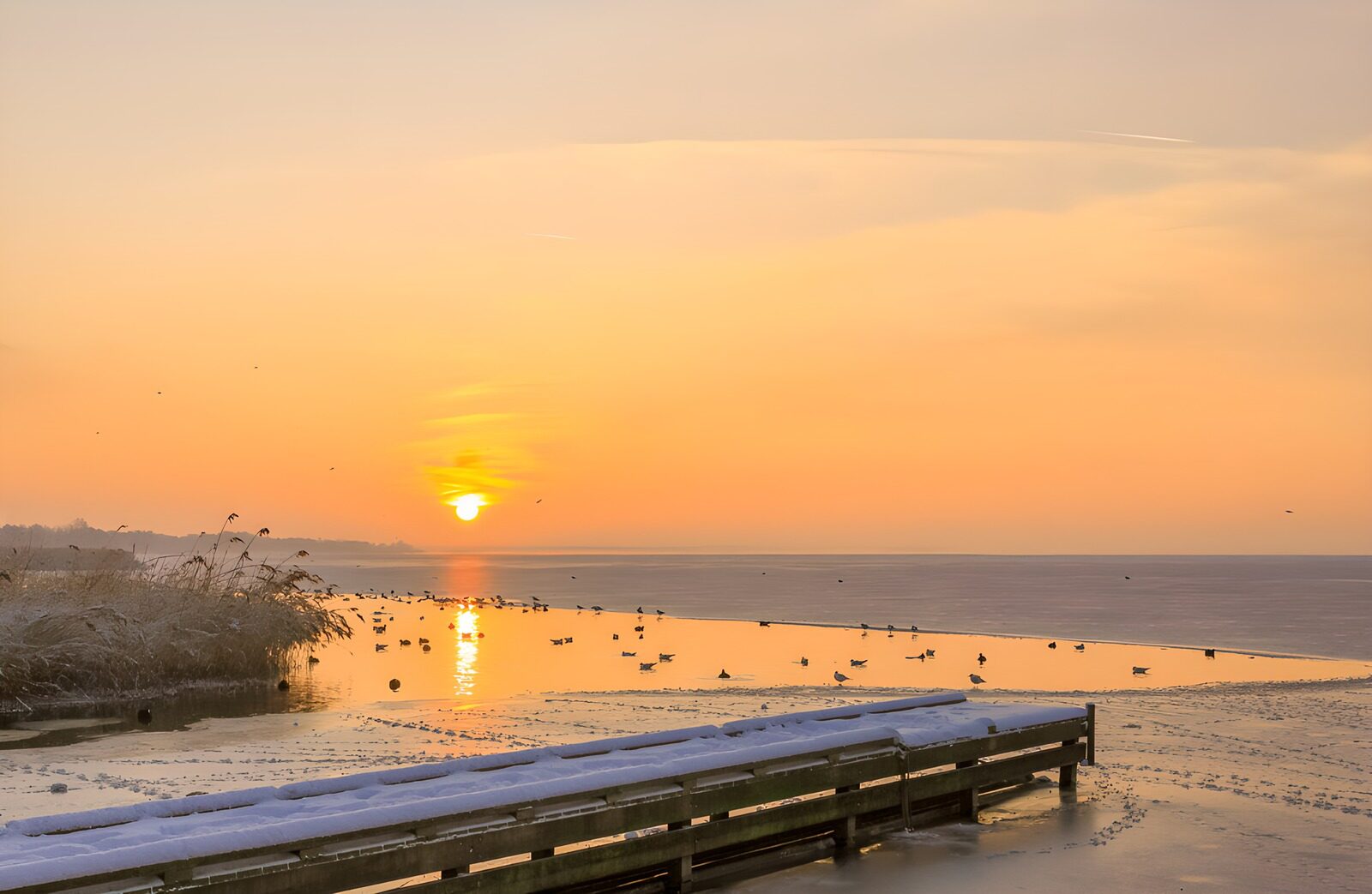 OCCOM1991632: Winter Sunrise Over Tranquil Waters