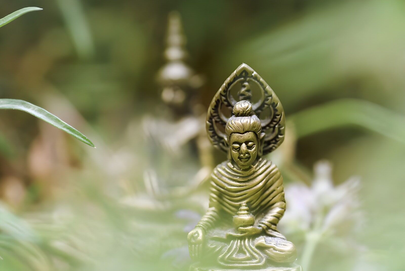 OCCOM5638173: Serene Buddha Statues in Nature