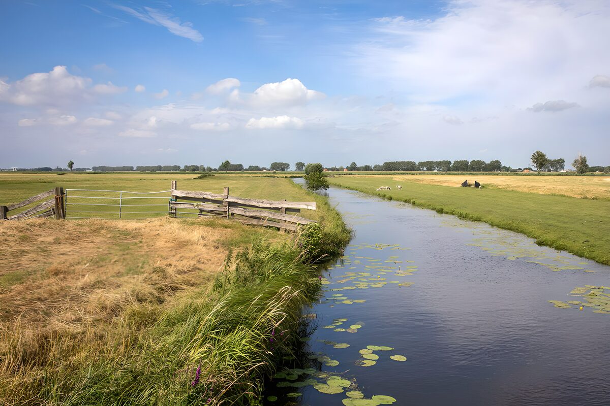 OCCOM4992802: Tranquil Countryside Stream