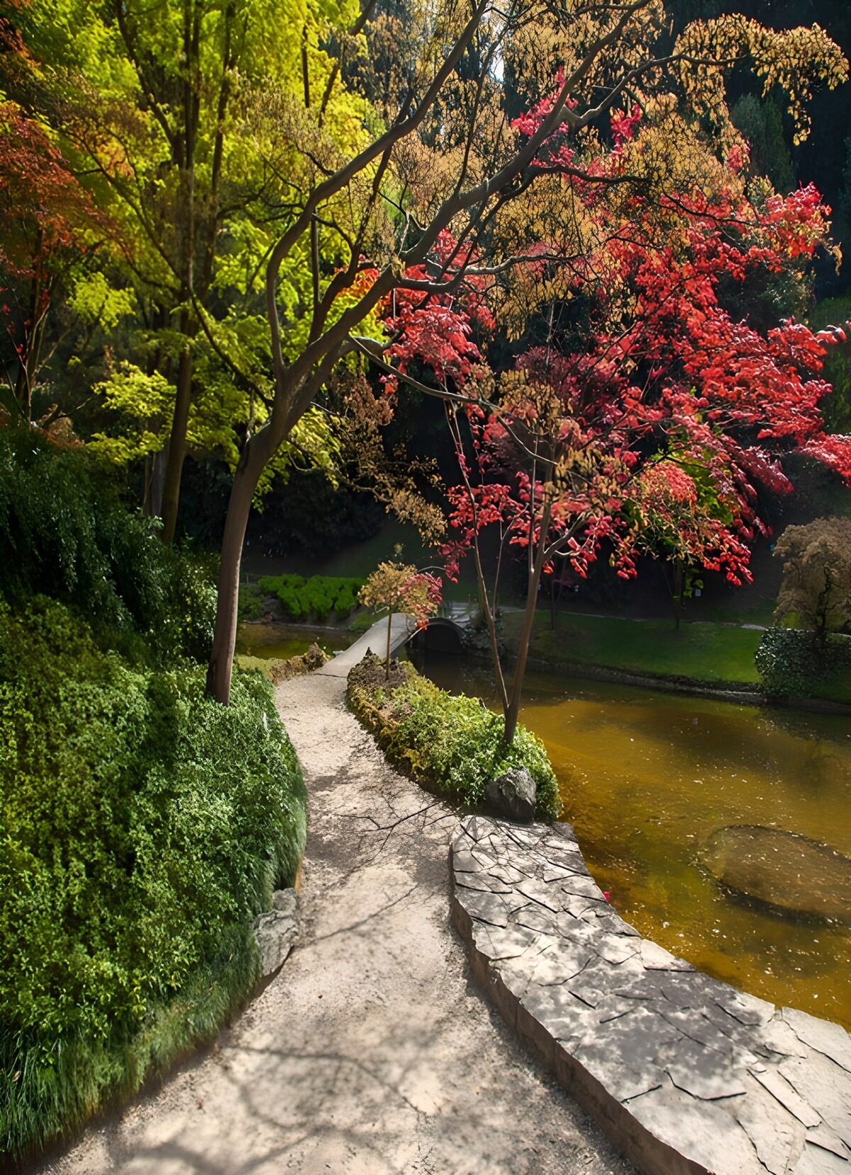 Serene Pathway Through Autumn Foliage