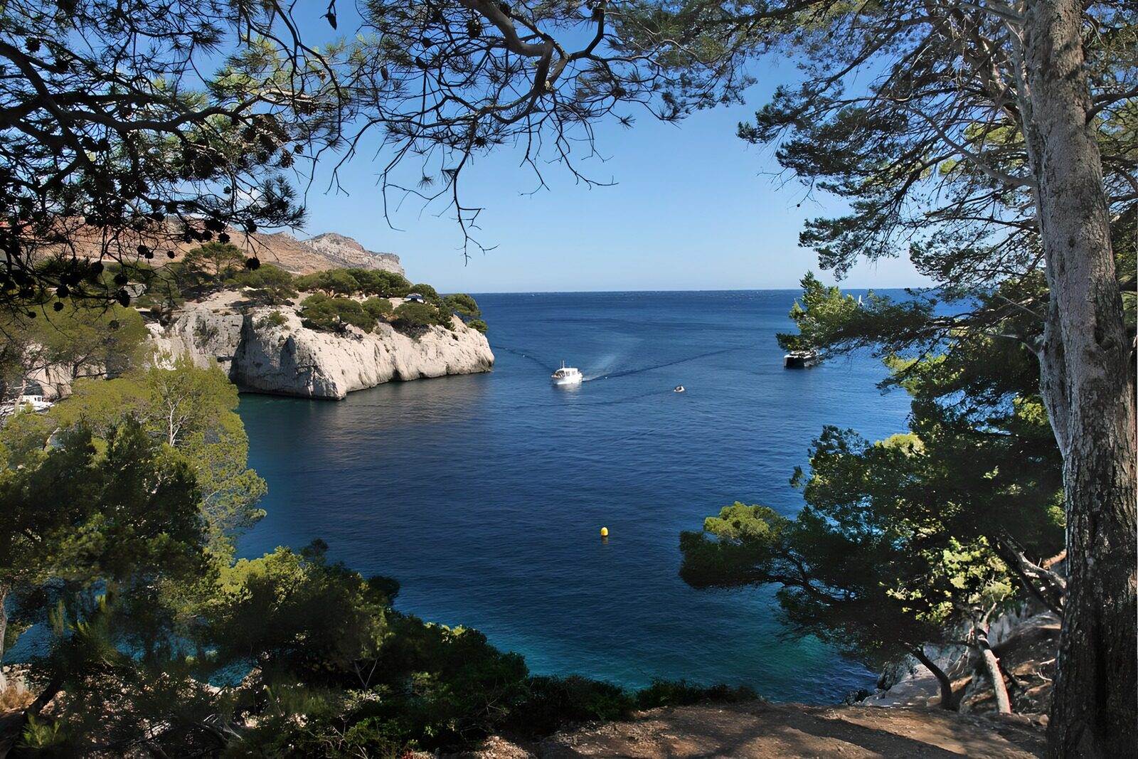 OCCOM7786866: Serene Coastal Escape